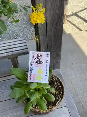 妙蓮寺(神奈川県)