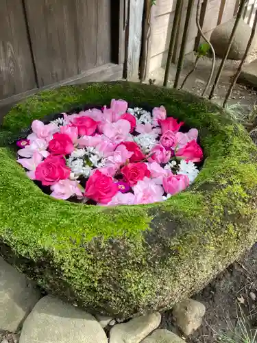 菅生神社の手水舎