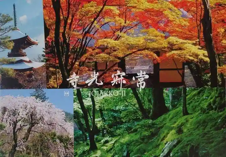 常寂光寺(京都府)