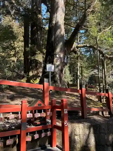 日光二荒山神社(栃木県)