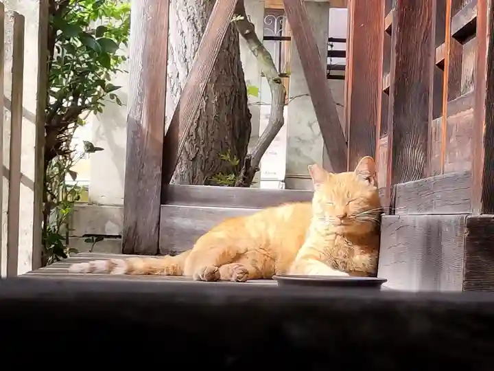 秋葉神社(長野県)