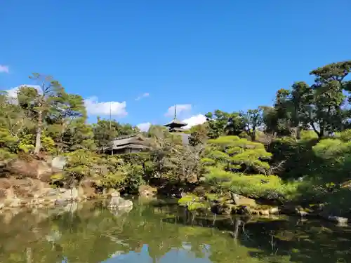 仁和寺の庭園