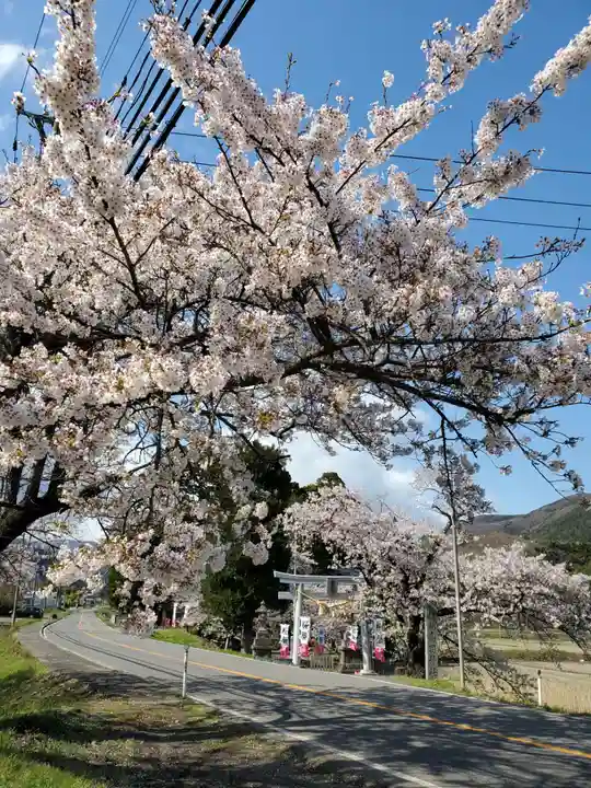 高司神社〜むすびの神の鎮まる社〜の自然