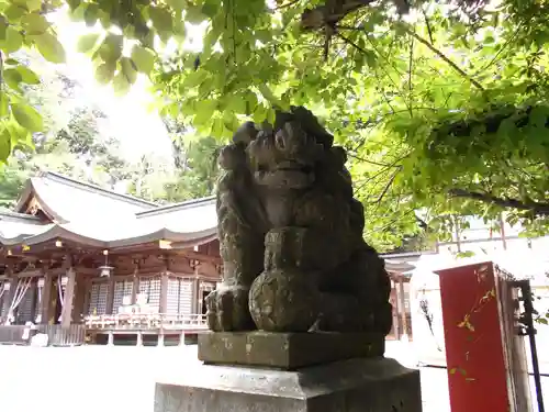 金刀比羅神社の狛犬