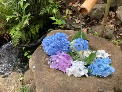 冠稲荷神社(群馬県)