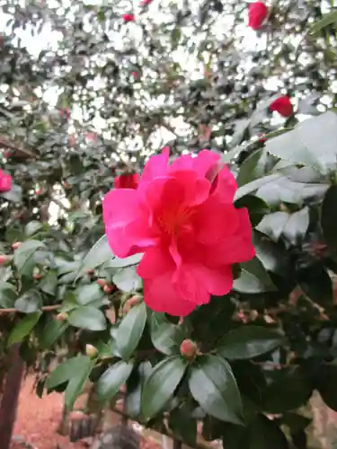 談山神社(奈良県)