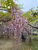 和気神社の{uncategorized: "未分類", other: "その他", undefined: "問題あり", building: "その他建物", grave: "お墓", sacred_gate: "鳥居", guardian: "狛犬", statue: "像", buddha: "仏像", history: "歴史", nature: "自然", garden: "庭園", animal: "動物", pagoda: "塔", temizu: "手水舎", mountain_gate: "山門・神門", sanctuary: "本殿・本堂", subordinate: "末社・摂社", art: "芸術", scenery: "景色", jizo: "地蔵", ema: "絵馬", goshuin: "御朱印", omikuji: "おみくじ", items: "授与品その他", amulet: "お守り", goshuincho: "御朱印帳", eats: "食事", festival: "お祭り", votive_dance: "神楽", shichigosan: "七五三参", wedding: "結婚式", experience: "体験その他", initially: "初詣", around: "周辺", anti_infection: "感染症対策"}