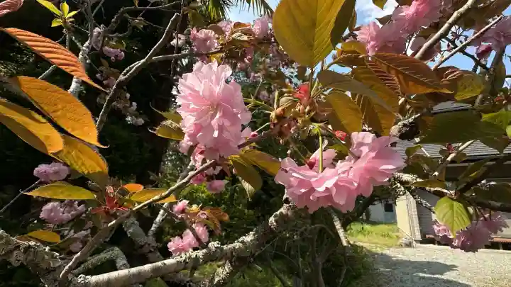 亘理神社(宮城県)