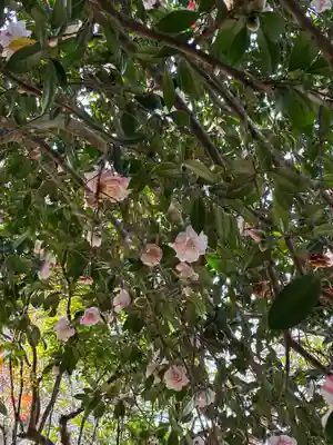 楠木神社(茨城県)