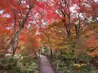 宝筐院(京都府)