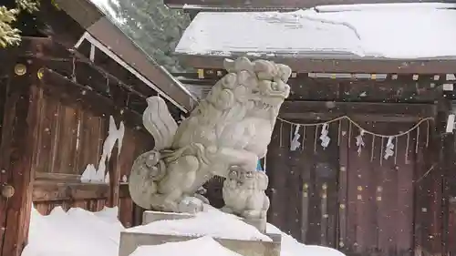 琴似神社の狛犬