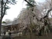 弘法寺の自然