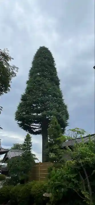 仏導寺(神奈川県)