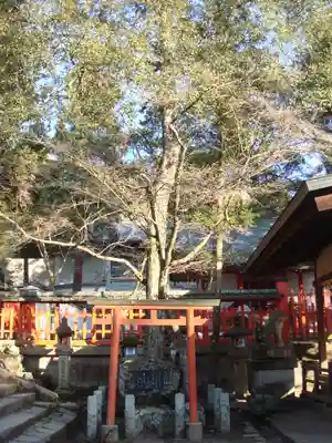 手向山八幡宮の自然