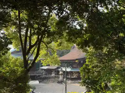 吉備津彦神社(岡山県)