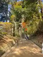 中尊寺本堂の自然