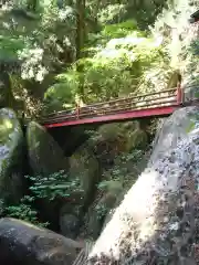 名草厳島神社の自然