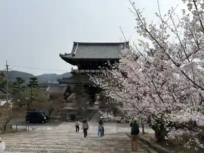 くろ谷 金戒光明寺(京都府)