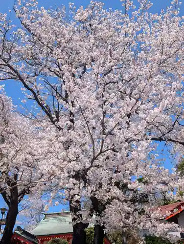 淡島社(神奈川県)