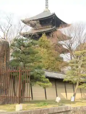 東寺（教王護国寺）(京都府)