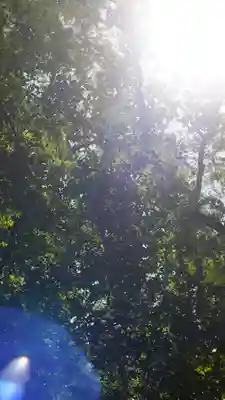 賀茂御祖神社（下鴨神社）(京都府)