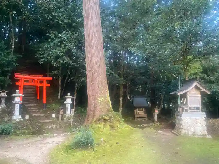 粟鹿神社の{uncategorized: "未分類", other: "その他", undefined: "問題あり", building: "その他建物", grave: "お墓", sacred_gate: "鳥居", guardian: "狛犬", statue: "像", buddha: "仏像", history: "歴史", nature: "自然", garden: "庭園", animal: "動物", pagoda: "塔", temizu: "手水舎", mountain_gate: "山門・神門", sanctuary: "本殿・本堂", subordinate: "末社・摂社", art: "芸術", scenery: "景色", jizo: "地蔵", ema: "絵馬", goshuin: "御朱印", omikuji: "おみくじ", items: "授与品その他", amulet: "お守り", goshuincho: "御朱印帳", eats: "食事", festival: "お祭り", votive_dance: "神楽", shichigosan: "七五三参", wedding: "結婚式", experience: "体験その他", initially: "初詣", around: "周辺", anti_infection: "感染症対策"}