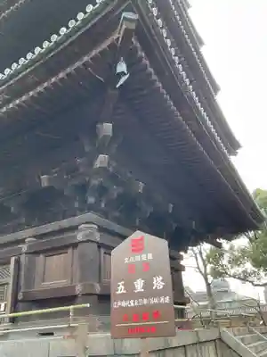 東寺(教王護国寺)の塔