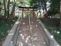 氷川女體神社(埼玉県)