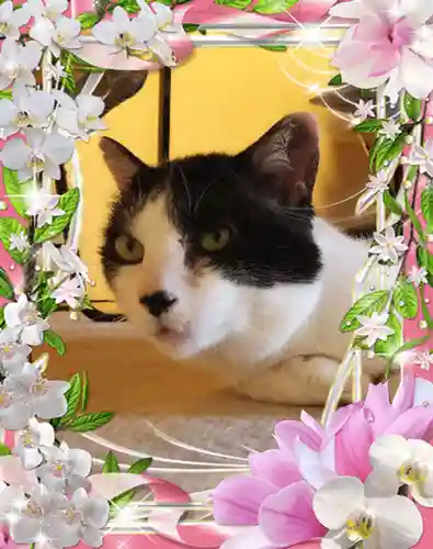 御霊神社の動物