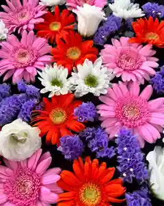 鹿島台神社の手水舎(2022年09月23日(金) 10時05分30秒投稿)