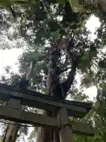 十二所神社(千葉県)