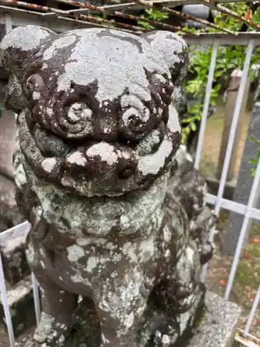 楢神社(奈良県)