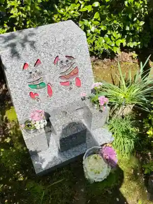 円常院(圓常院) enjoyntemple(京都府)