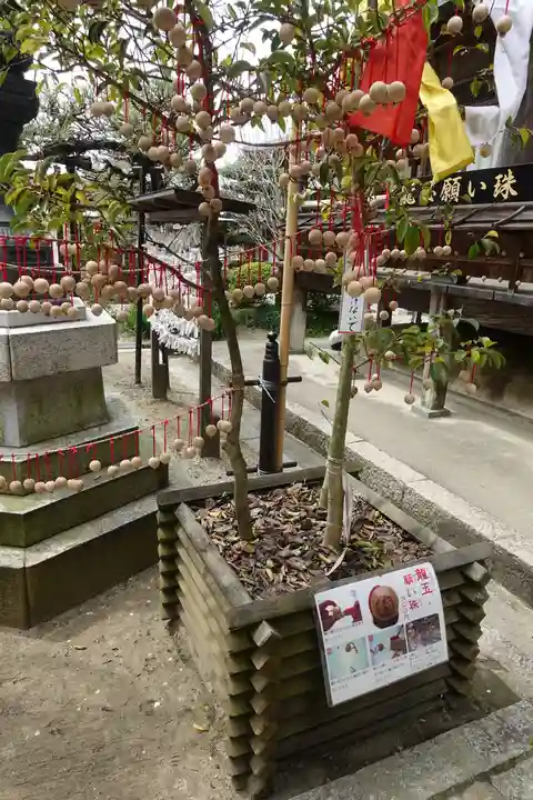 岡寺(龍蓋寺)の授与品その他