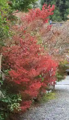 鍬山神社(京都府)