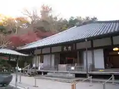 明月院(神奈川県)