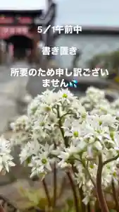 大鏑神社(福島県) 2025年05月01日(木)〜(2025年04月30日(水) 16時56分10秒投稿)