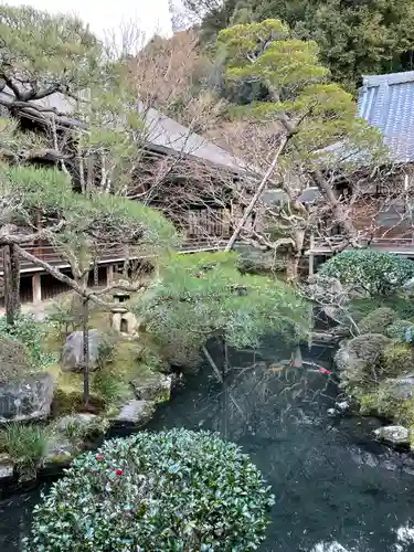 禅林寺（永観堂）の庭園