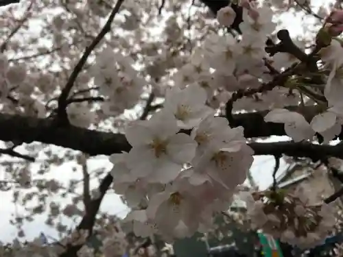 春日神社の自然