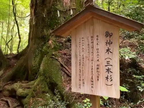 花園神社(茨城県)