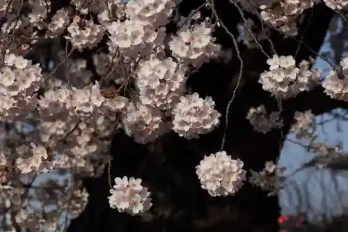 静御前堂の自然