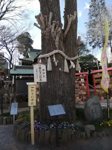 川越八幡宮(埼玉県)
