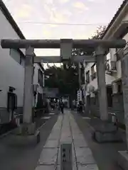 川越熊野神社の鳥居