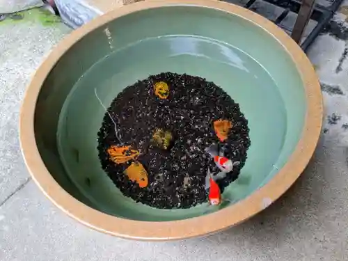 日本橋日枝神社(東京都)