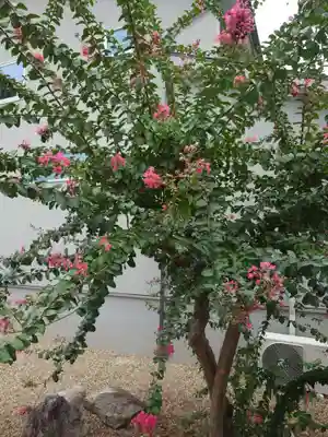 鎮宅霊符神社(奈良県)