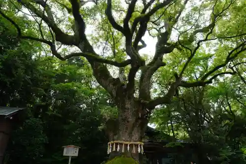 熱田神宮(愛知県)