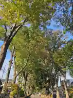 武蔵一宮氷川神社(埼玉県)