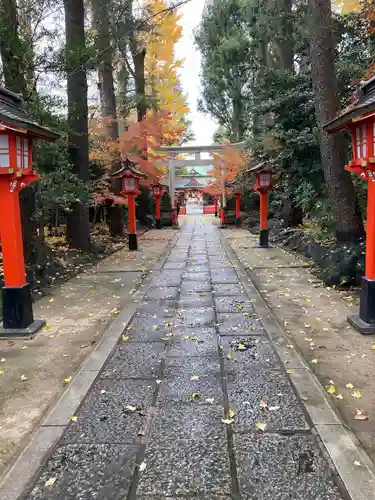 馬橋稲荷神社の鳥居