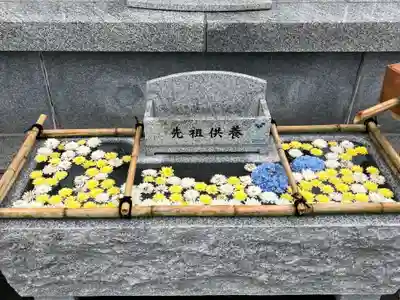 高野山寺の手水舎