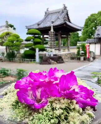 真言宗　善通寺派　薬王寺(香川県)